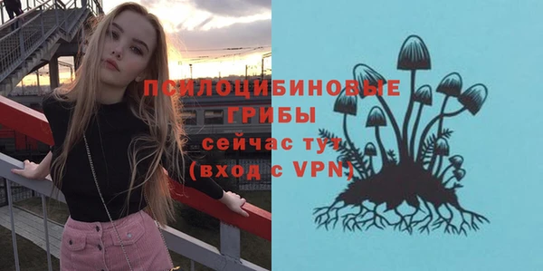 гашик Кукмор
